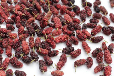 Beyaz arka planda taze dut.