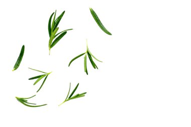 Beyaz arka planda biberiye, taze yapraklar