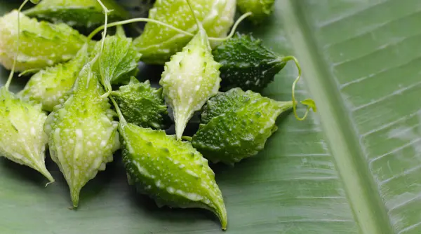 stock image Balsam pear, Bitter cucumber, Leprosy gourd