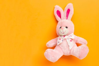 Tavşan oyuncak kopya alanı ile