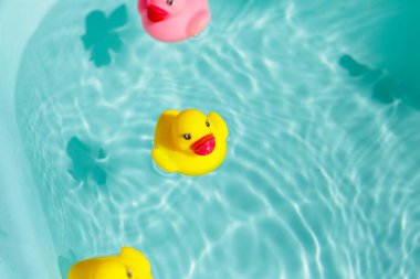 lastik ördek mavi su