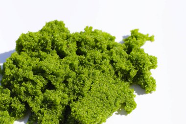 Tatlı su Algası, Su Menüsü veya Bataklık Algleri