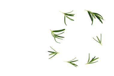 Beyaz arkaplanda taze biberiye.