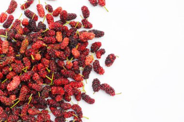 Beyaz arka planda taze dut.