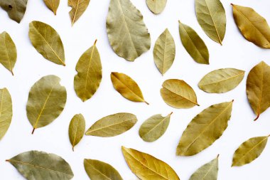 Beyaz arkaplanda kurumuş körfez yaprakları.