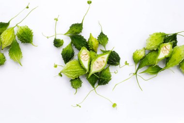 Balsam armudu, acı salatalık, cüzzam kabağı.