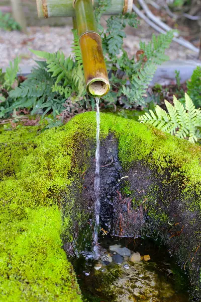 Japon Tsukubai, Bambu suyu düşüyor.