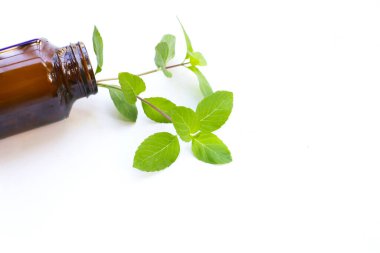 Temel yağ şişesiyle taze nane yaprakları.