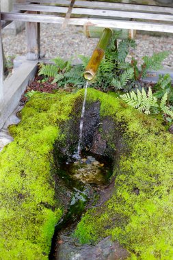 Japon Tsukubai, Bambu suyu düşüyor.