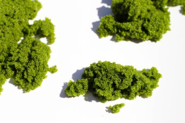 Tatlı su Algası, Su Menüsü veya Bataklık Algleri