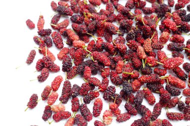 Beyaz arka planda taze dut.