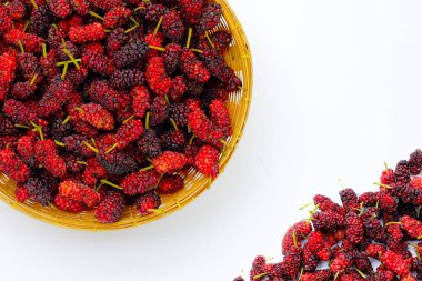 Beyaz arka planda taze dut.