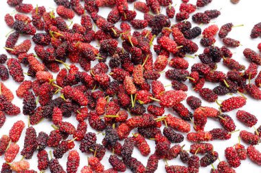 Beyaz arka planda taze dut.