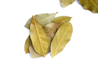 Beyaz arkaplanda kurumuş körfez yaprakları.