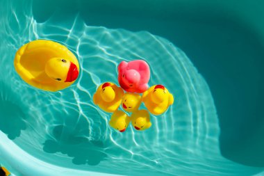 lastik ördek mavi su