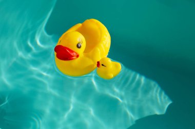 lastik ördek mavi su