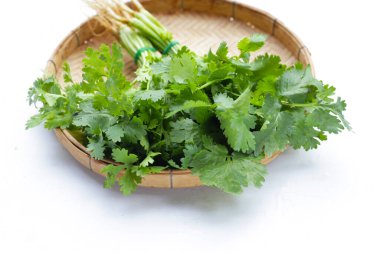 Taze organik kişniş, kökleri olan yapraklar. Sebze ve bitkiler.