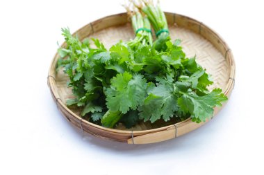 Taze organik kişniş, sebze ve otlar.