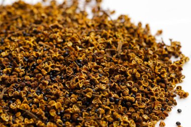 Kurutulmuş zanthoxylum rhetsa (Roxb.) Başkent.