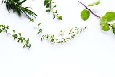 Beyaz arkaplanda taze bitki.