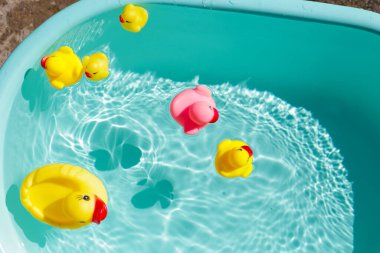 lastik ördek mavi su