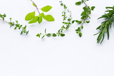 Beyaz arkaplanda taze bitki.