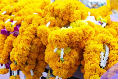 Tapınmak için kadife çiçekleri, Erawan tapınağı Bangkok, Tayland