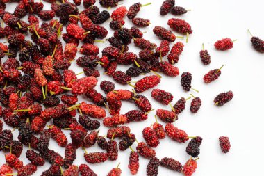 Beyaz arka planda taze dut.