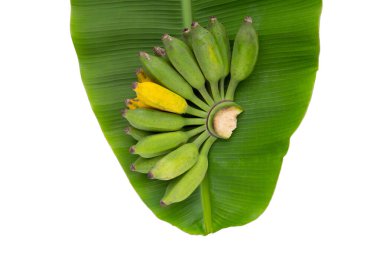 Beyaz arka planda yeşil yapraklı ekilmiş muz.