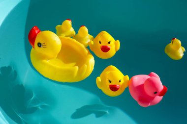 lastik ördek mavi su
