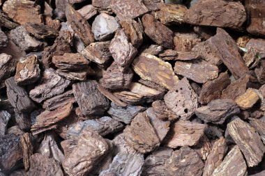 Pine bark is an ingredient for cultivation. Beneficial to the soil and plants.