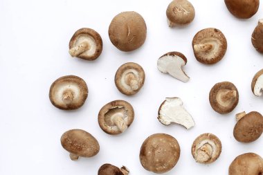 Beyaz arka planda taze shiitake mantarları.