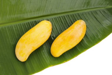 Olgun tatlı mango meyvesi, Tayland meyvesi