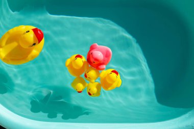 lastik ördek mavi su