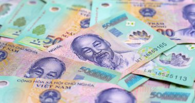 Beş yüz bin dong banknot