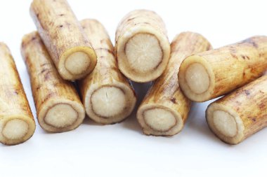 Taze burdock kökleri veya gobo kökleri