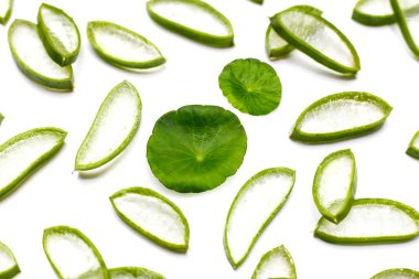 Taze aloe vera dilimleri ve beyaz arka planda Centella asiatica yaprakları. Doğal cilt bakımı.