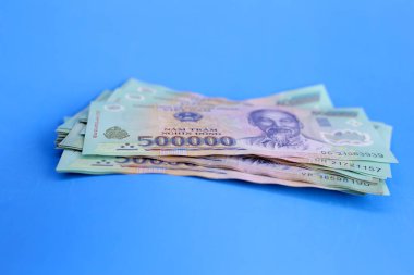 Beş yüz bin dong banknot