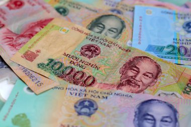 Vietnam dong banknotları. Para kavramı