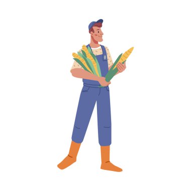 Çiftçilik ve hasat mevsimi, taze mısırla izole edilmiş çiftçi. Organik, doğal sebze ve ürünler yetiştiriyor. Düz çizgi film karakteri, düz biçimli vektör