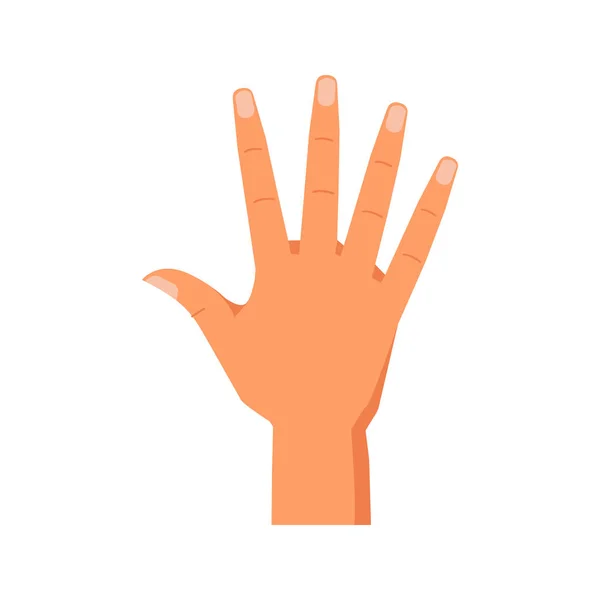 举起的手指显示5号 孤立的手势计数或在手臂的帮助下计数 非语言交际标志 矢量呈扁平型 — 图库矢量图片