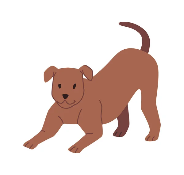 Hondenleven Levensstijl Geïsoleerde Speelse Pup Met Korte Staart Hondendier Spelen — Stockvector
