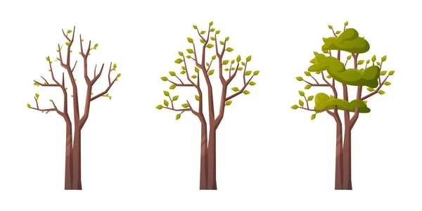 春夏季节的气候变化 离群索居的树 枝叶繁茂 在室外恢复自然和植物区系植物 矢量呈扁平型 — 图库矢量图片