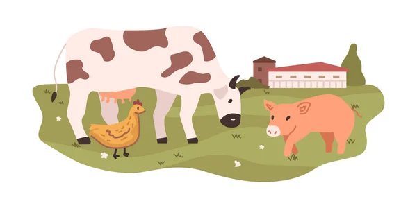 Tiere Und Landwirtschaft Bauernhof Mit Kuh Und Schwein Hühner Auf — Stockvektor