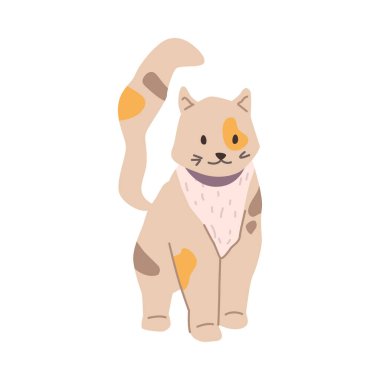 Uzun kuyruklu ve yumuşak kürklü bir kedi portresi. Kürkünde lekeler olan izole edilmiş evcil bir hayvan. Kedi memeli, evcil hayvan hareketsiz duruyor. Düz biçimli vektör