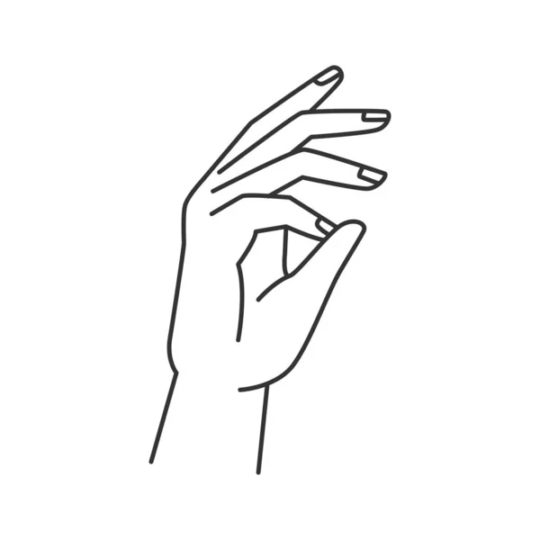 抽象的手妇女手臂姿势 完美的指甲修整 矢量手势 非语言的交流符号 带有女性指甲的孤立手掌 肢体语言符号 — 图库矢量图片