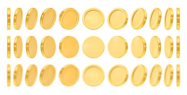 Altın madeni paralar farklı görünüm animasyonlarını bulanıklaştırır. Vector realistik para birimi, iş ve ticaret, ödeme ve kar sembolü ekonomi ve finans. Pazar ve takas, kazanç ve gelir