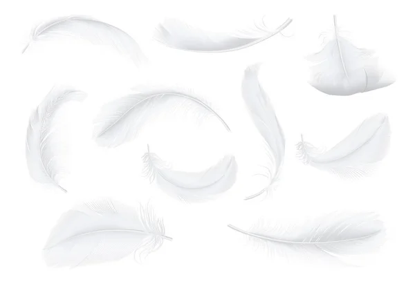 Плюмаж Птиц Гуся Курицы Реалистичная Коллекция Иллюстраций Изолированные Летящие Мягкие — стоковый вектор