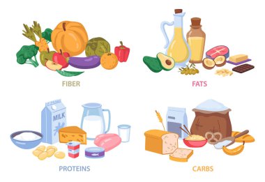 Proteinler ve karbonhidratlar besleyici gıdalar. İplik ve yağ, organik taneler ve süt ürünleri, sebzeler ve meyve düzlüğü çizgi film seti. Besin lifleri protein besinleri, et ve peynir beslenme diyeti kompleksi
