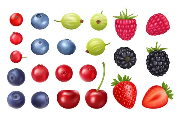 一套现实的浆果软糖和果汁配料 野生卡通果病媒 采购产品新鲜的夏季食物 越橘和覆盆子 红醋栗和蓝莓 樱桃和露莓 — 图库矢量图片